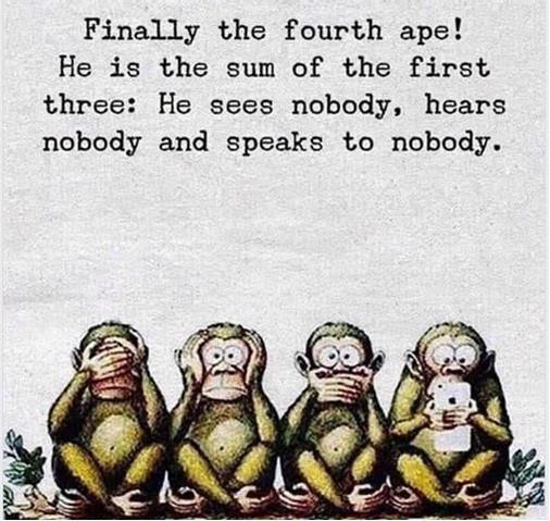 Wise Monkeys.jpg